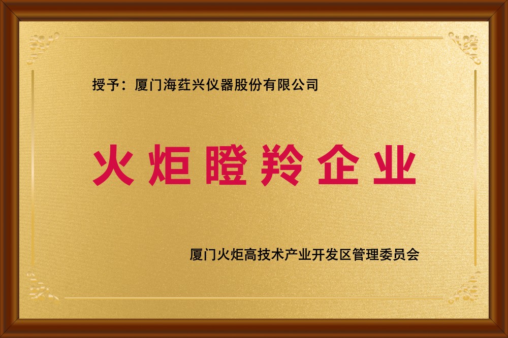 火炬瞪羚企业