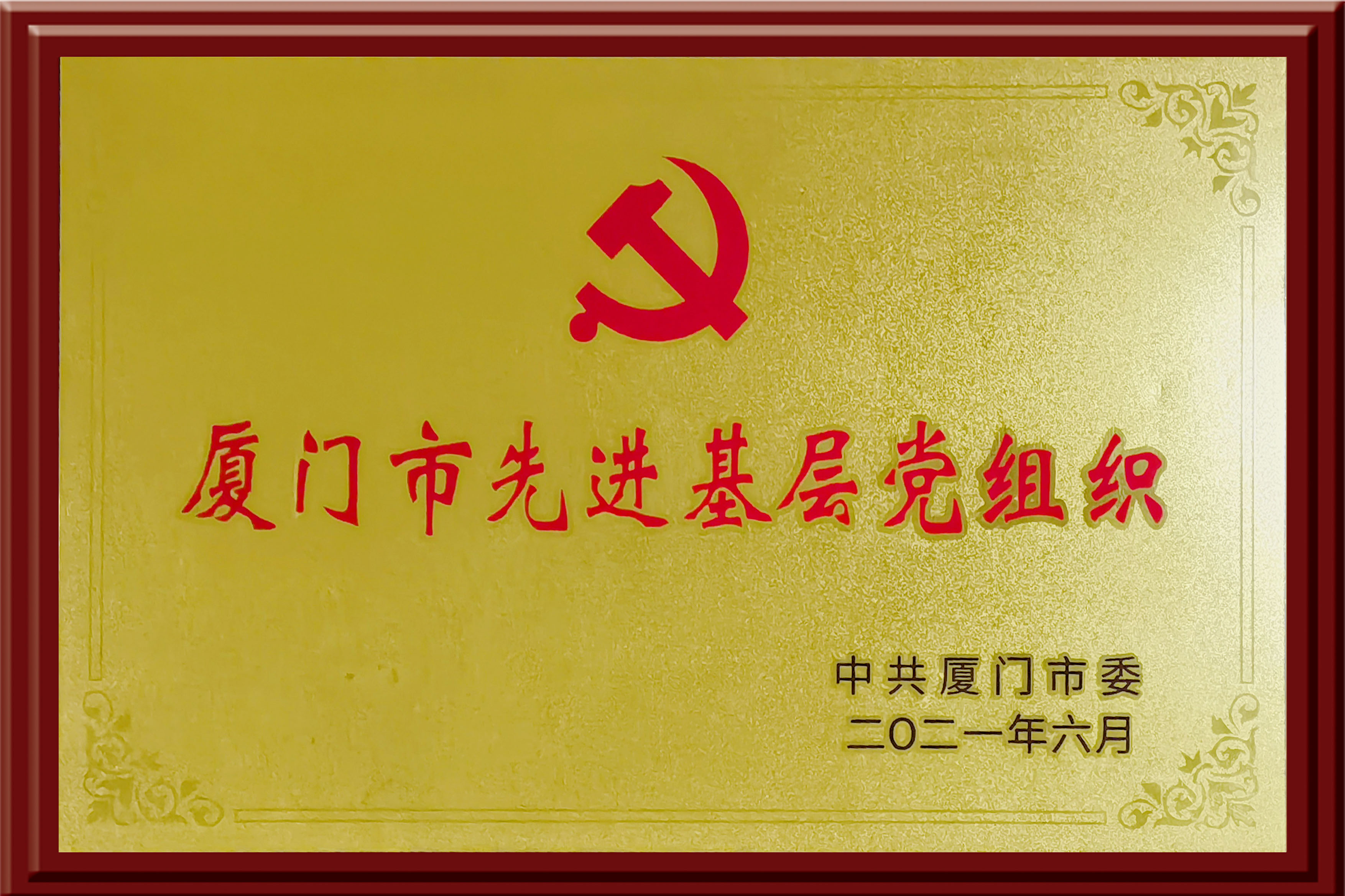 厦门市先进基层党组织